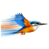 Lifer